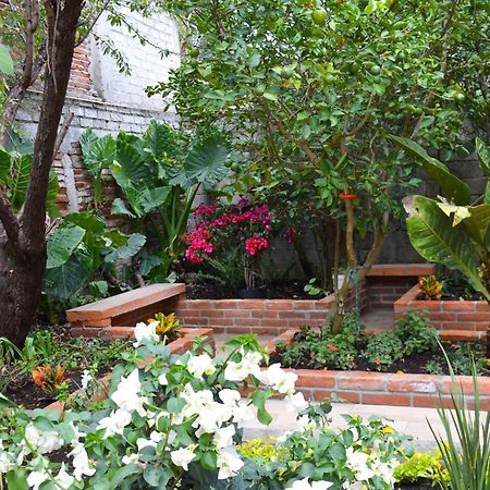 Hotel Capital O Casa Rotter San Cristóbal de Las Casas Exterior foto