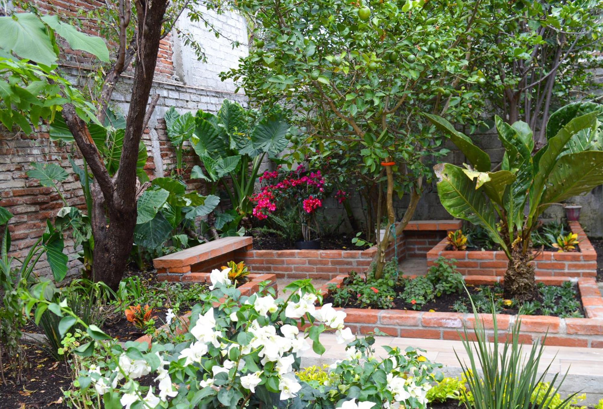 Hotel Capital O Casa Rotter San Cristóbal de Las Casas Exterior foto